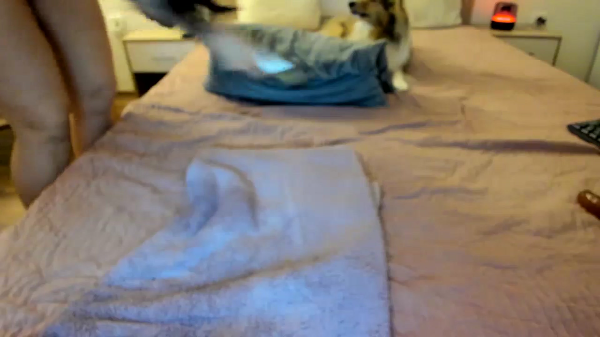 Gallery image thumbnail from Saandruskaa's myfreecams stream on, 01/07/2024, 16:57 image 6 of 20