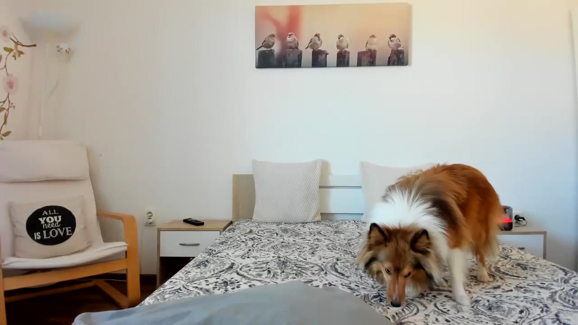 Gallery image thumbnail from Saandruskaa's myfreecams stream on, 01/30/2024, 13:26 image 11 of 20