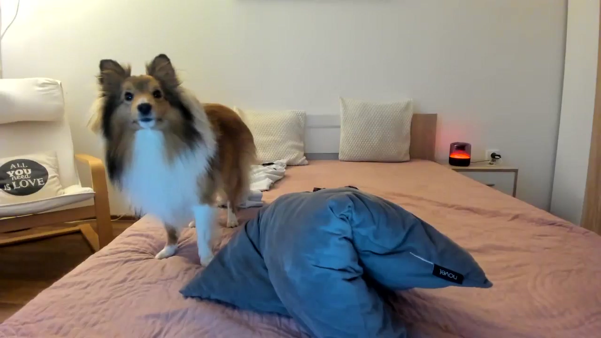 Gallery image thumbnail from Saandruskaa's myfreecams stream on, 03/01/2024, 16:21 image 16 of 20