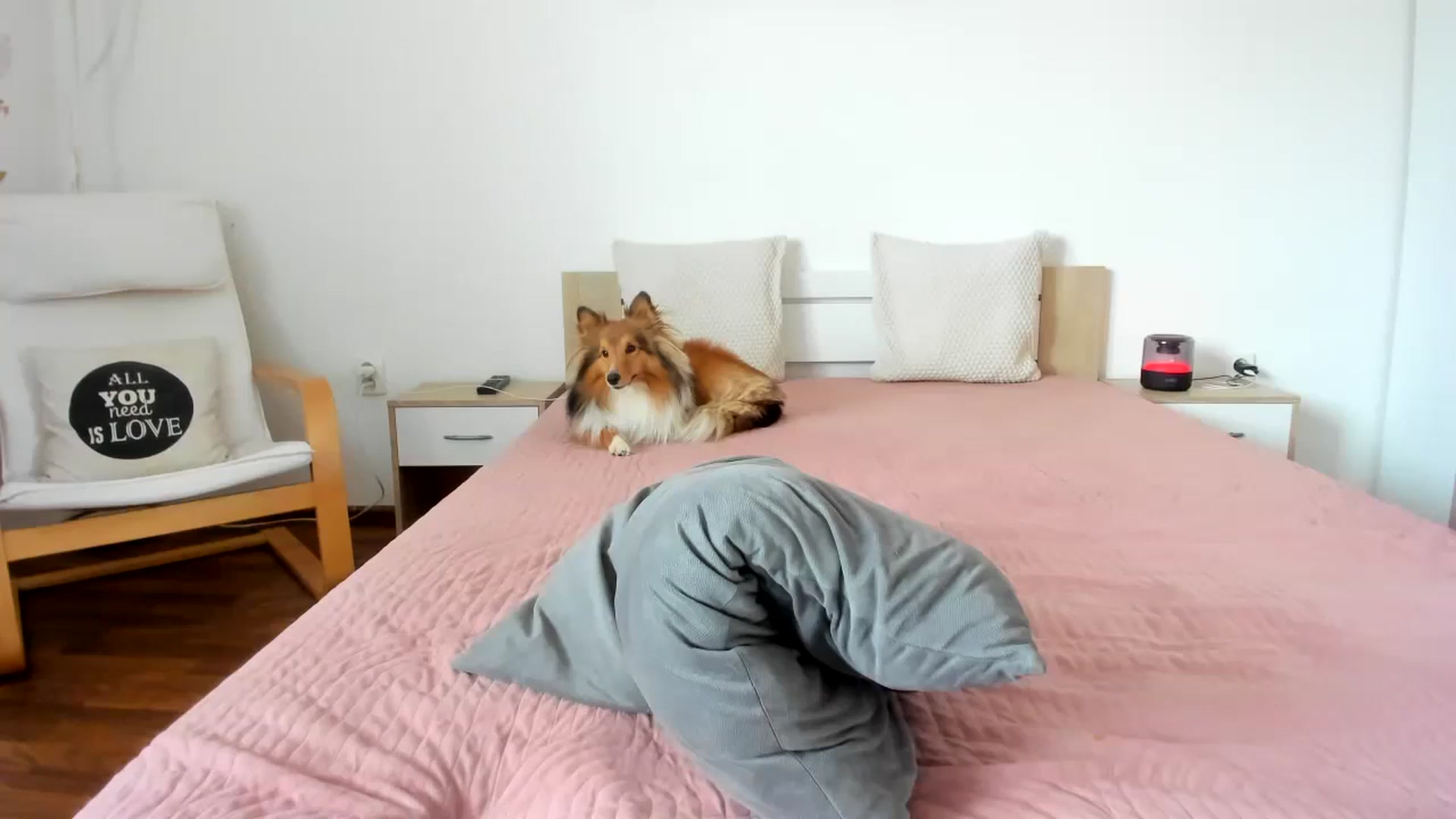 Gallery image thumbnail from Saandruskaa's myfreecams stream on, 03/02/2024, 13:01 image 7 of 20