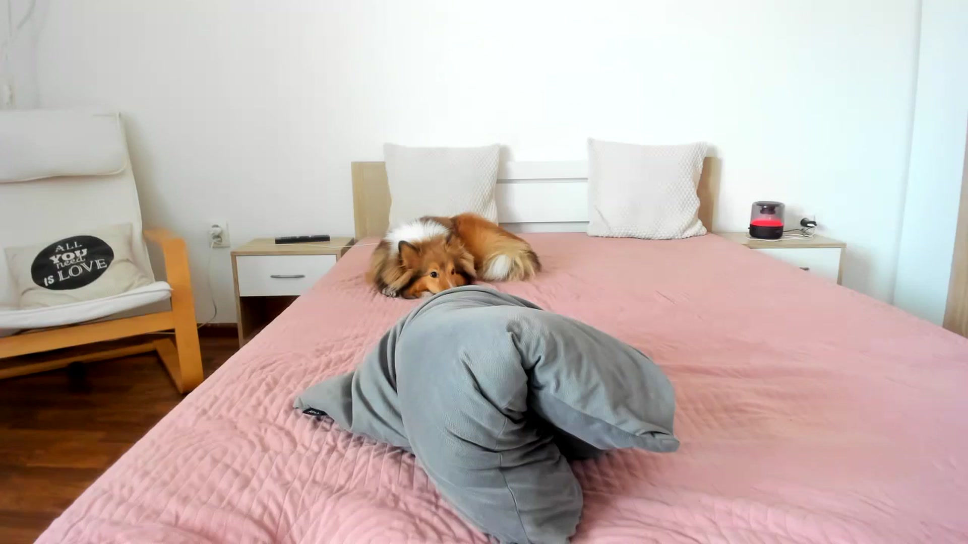 Gallery image thumbnail from Saandruskaa's myfreecams stream on, 03/10/2024, 14:27 image 7 of 20