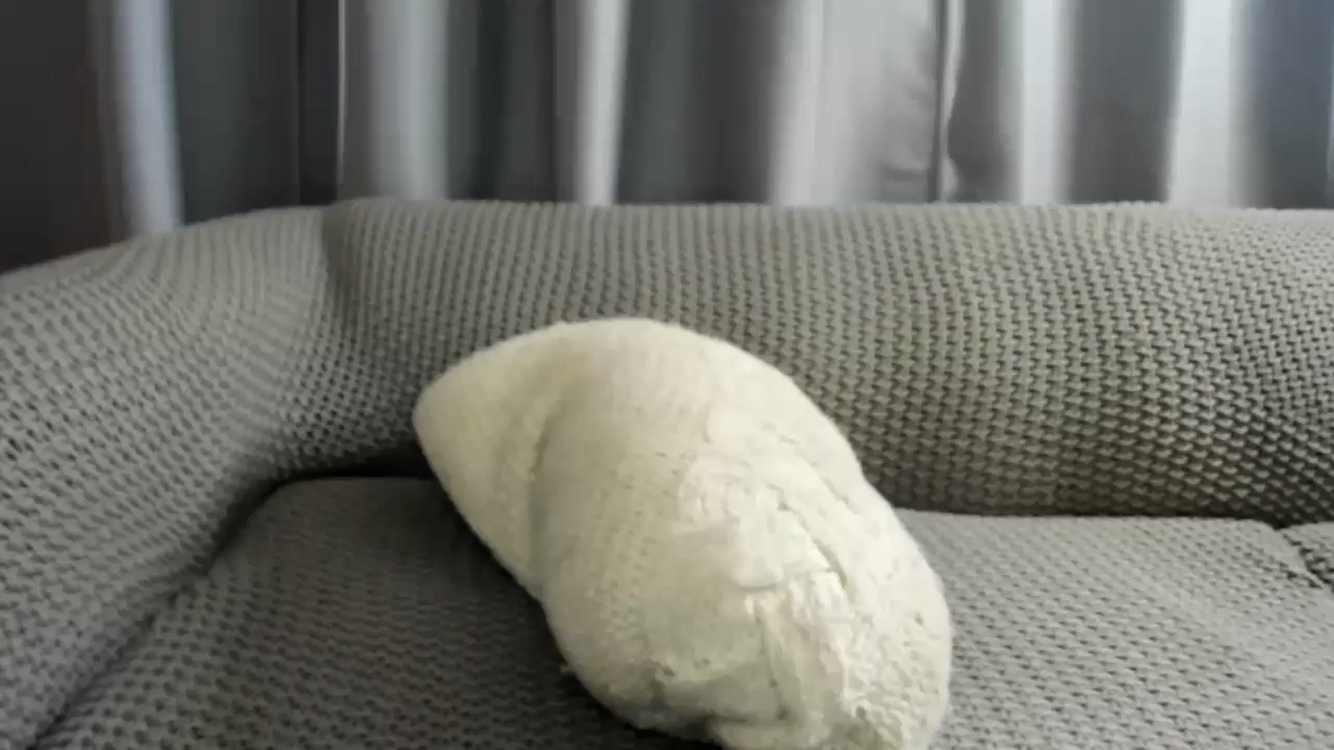 Gallery image thumbnail from Saandruskaa's myfreecams stream on, 05/24/2024, 17:53 image 16 of 20
