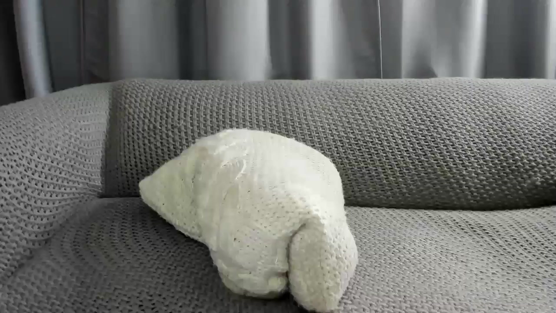 Gallery image thumbnail from Saandruskaa's myfreecams stream on, 06/12/2024, 18:34 image 11 of 20