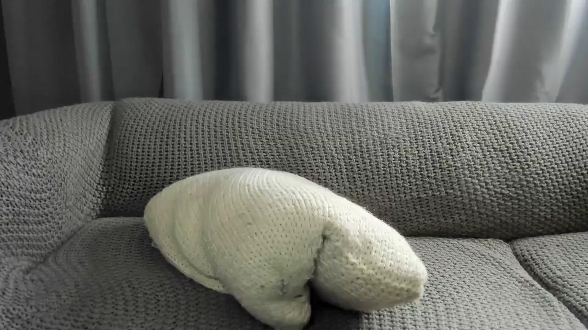 Gallery image thumbnail from Saandruskaa's myfreecams stream on, 07/12/2024, 19:27 image 11 of 20