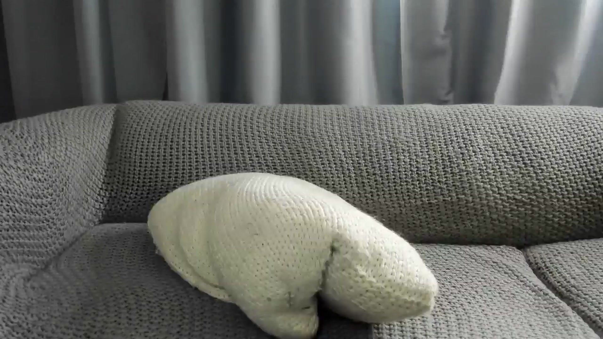 Gallery image thumbnail from Saandruskaa's myfreecams stream on, 07/12/2024, 19:27 image 10 of 20