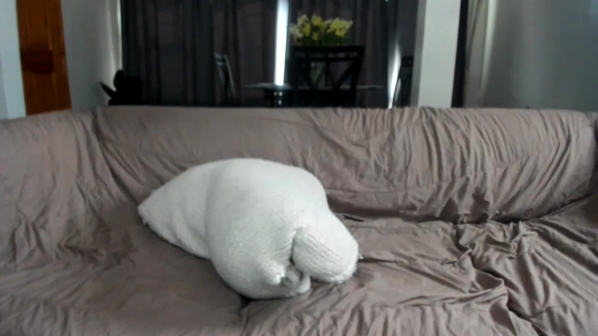 Gallery image thumbnail from Saandruskaa's myfreecams stream on, 09/12/2024, 17:44 image 8 of 20