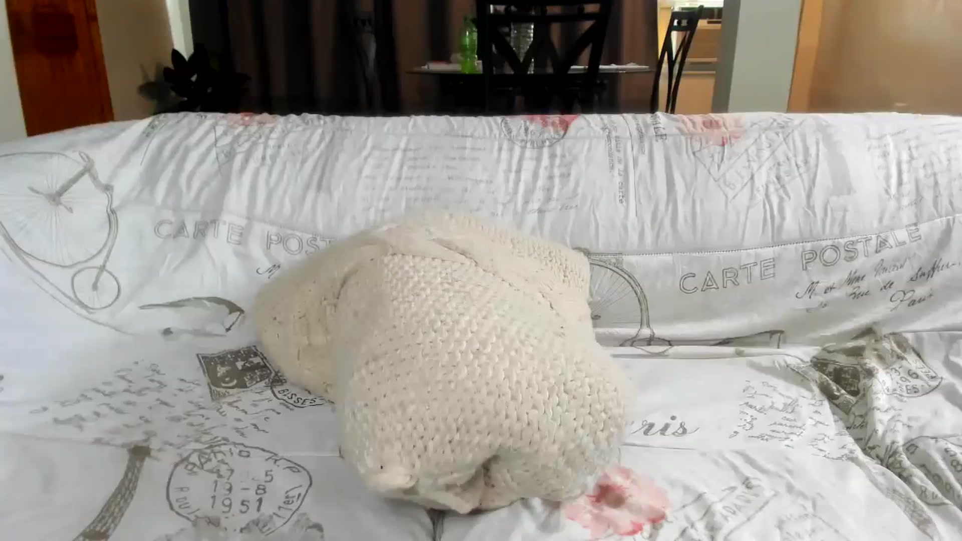 Gallery image thumbnail from Saandruskaa's myfreecams stream on, 10/02/2024, 17:37 image 17 of 20