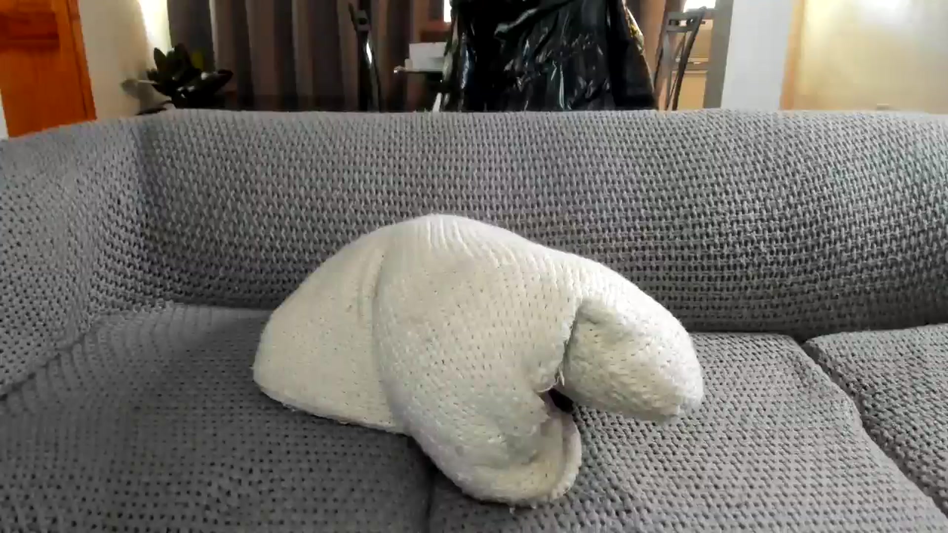 Gallery image thumbnail from Saandruskaa's myfreecams stream on, 10/12/2024, 18:04 image 12 of 20