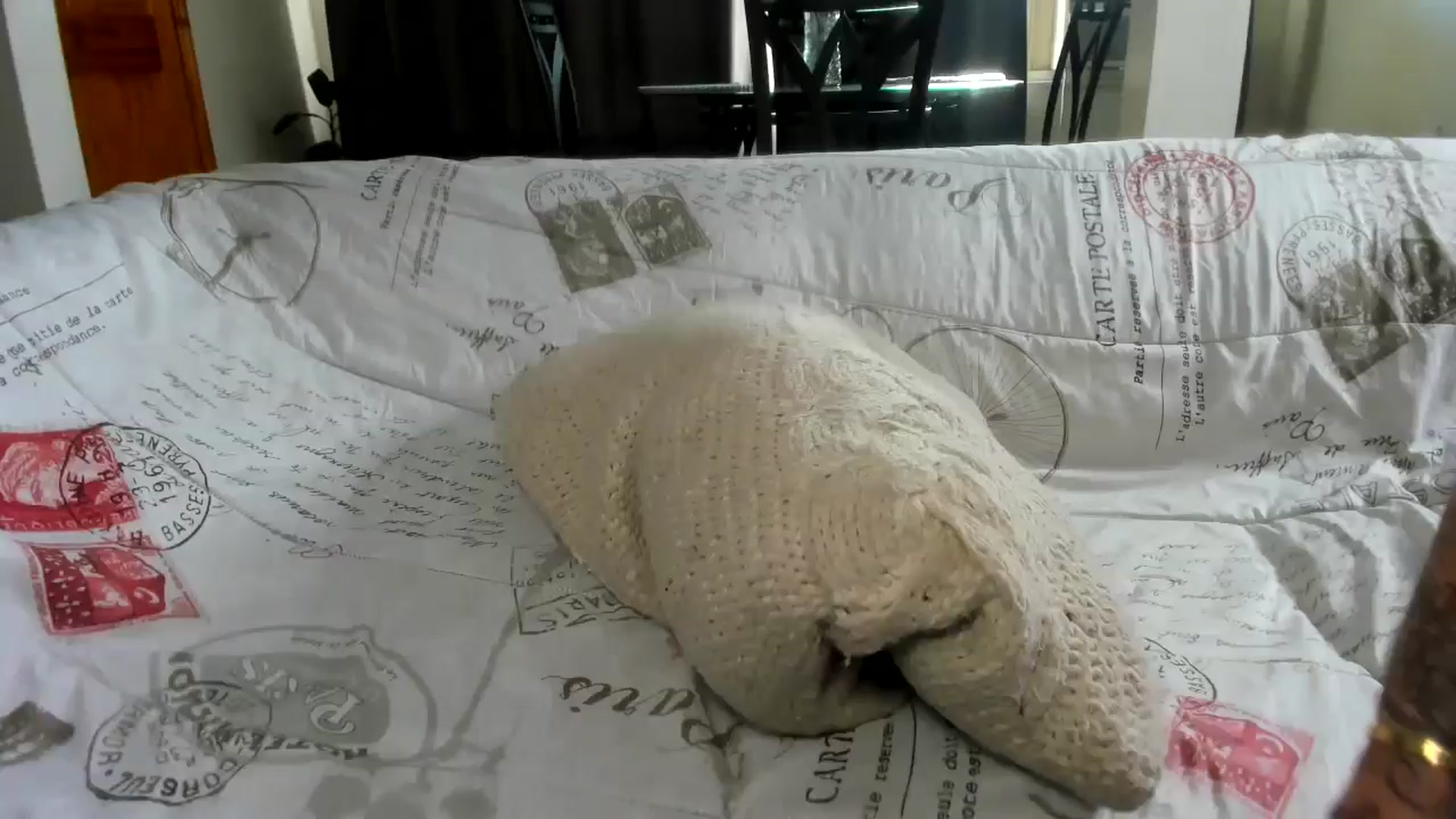 Gallery image thumbnail from Saandruskaa's myfreecams stream on, 11/06/2024, 18:29 image 5 of 20