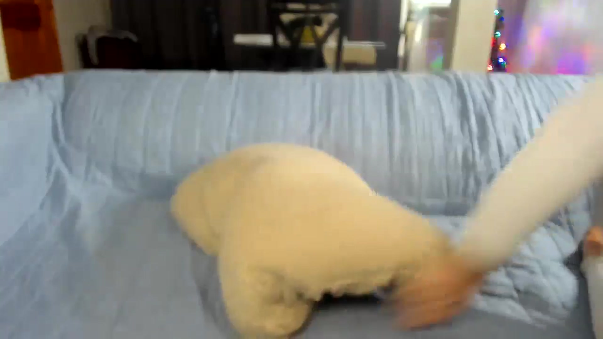 Gallery image thumbnail from Saandruskaa's myfreecams stream on, 12/25/2024, 18:05 image 16 of 20