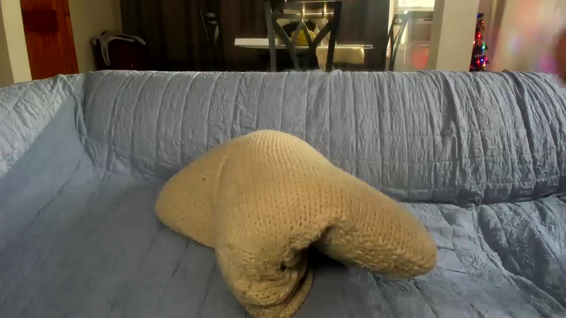 Gallery image thumbnail from Saandruskaa's myfreecams stream on, 12/25/2024, 19:34 image 14 of 20