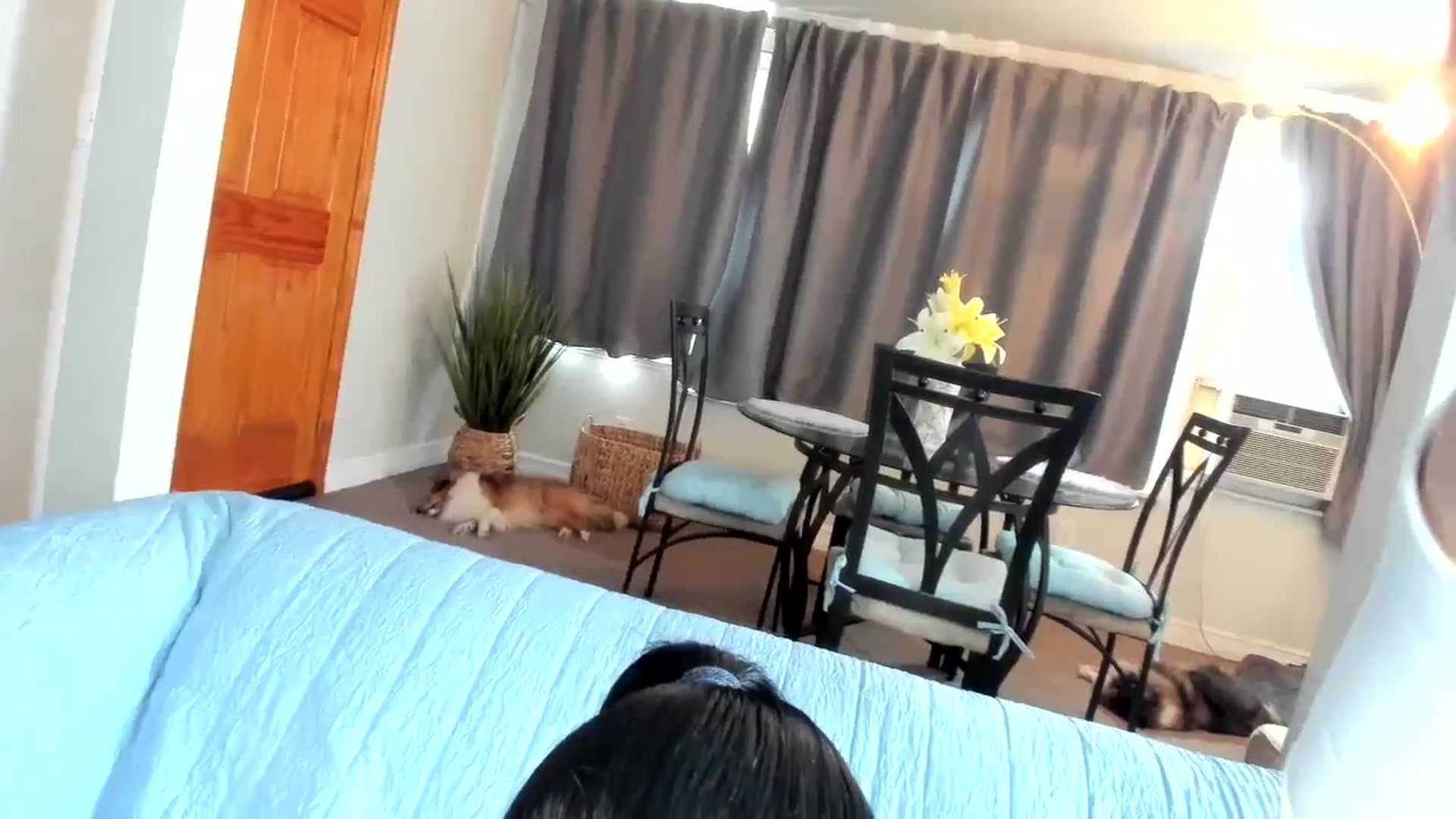 Gallery image thumbnail from Saandruskaa's myfreecams stream on, 01/01/2025, 18:54 image 2 of 20