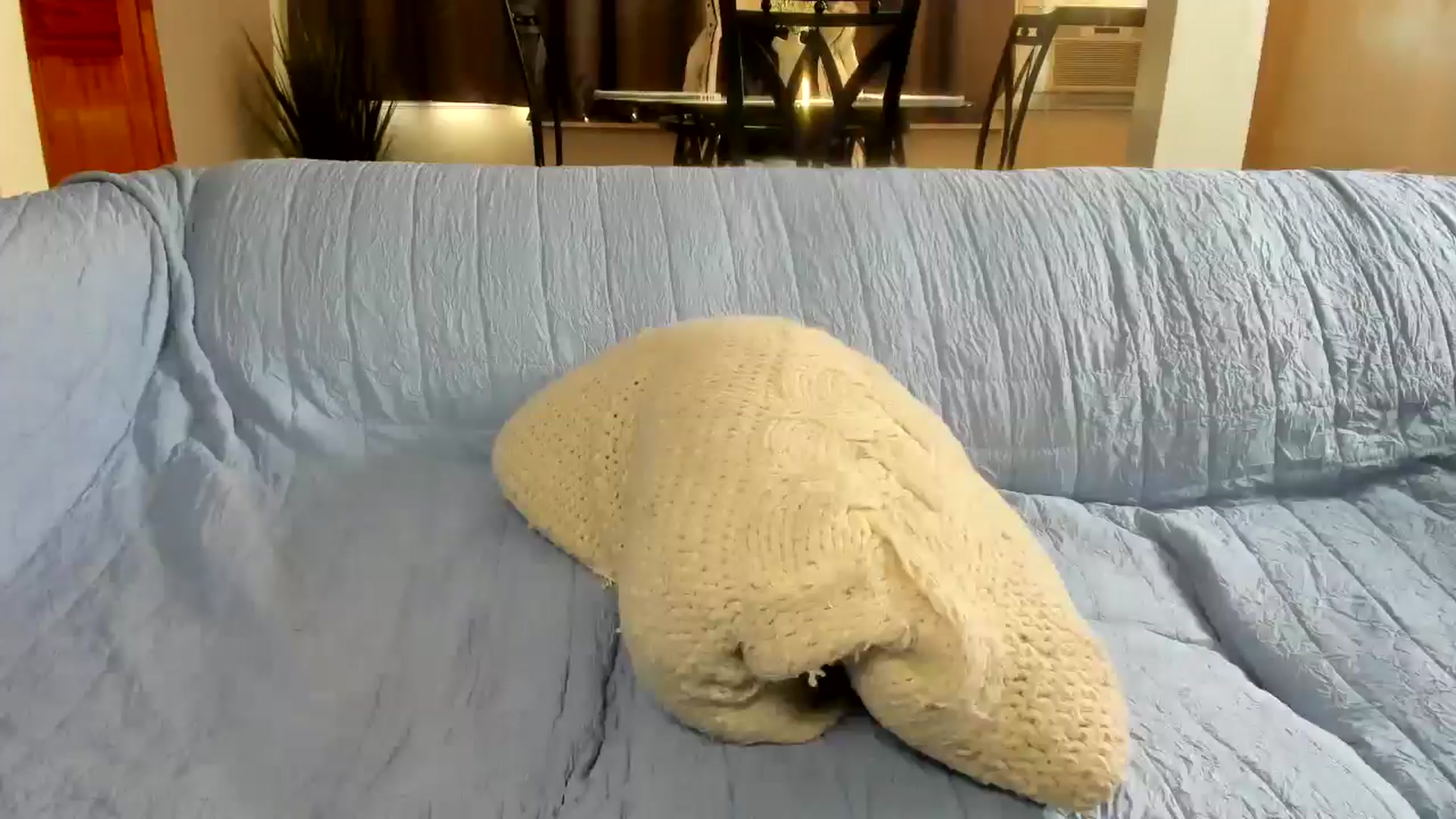 Gallery image thumbnail from Saandruskaa's myfreecams stream on, 01/10/2025, 20:26 image 19 of 20
