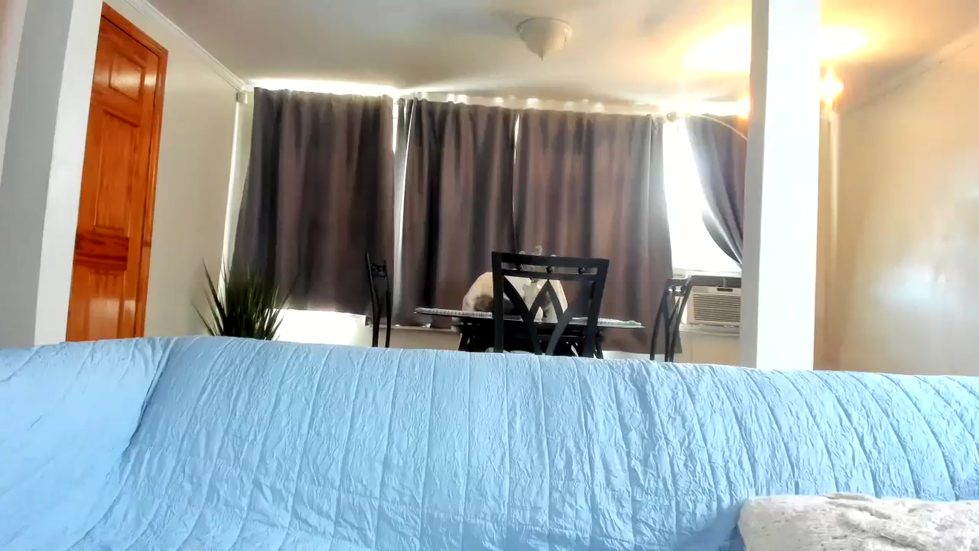 Gallery image thumbnail from Saandruskaa's myfreecams stream on, 01/24/2025, 18:34 image 9 of 20
