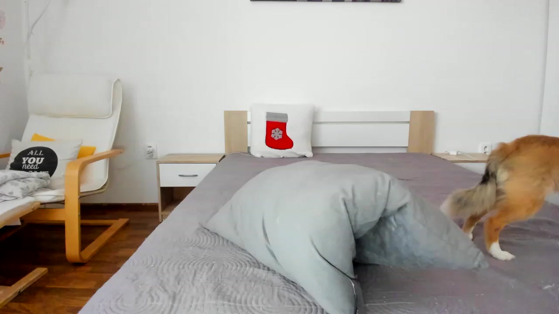 Gallery image thumbnail from Saandruskka's myfreecams stream on, 11/18/2022, 01:38 image 7 of 20