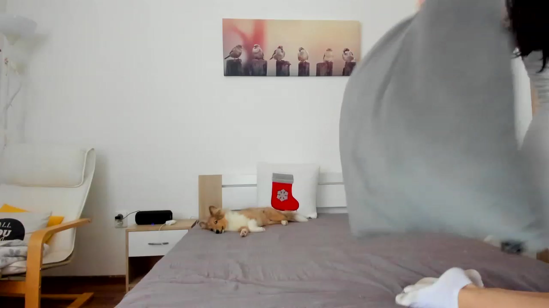 Gallery image thumbnail from Saandruskka's myfreecams stream on, 11/19/2022, 13:38 image 15 of 20