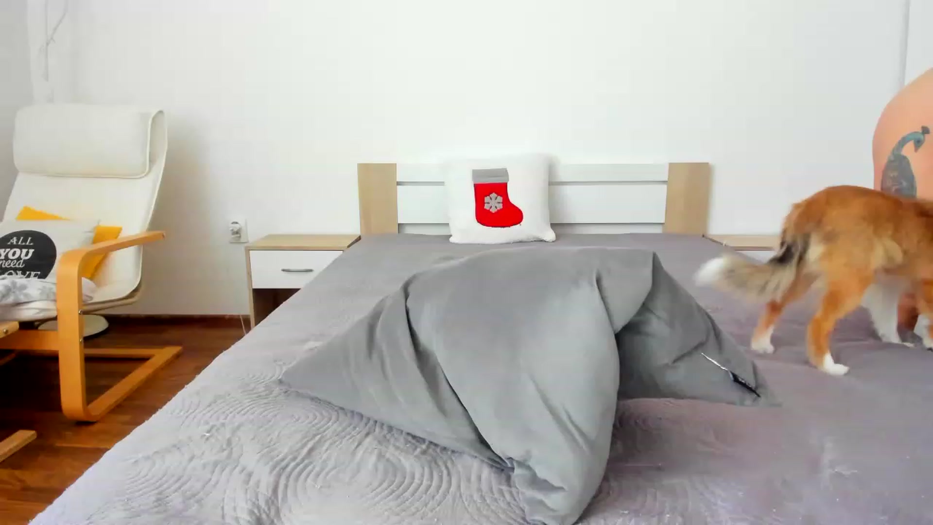 Gallery image thumbnail from Saandruskka's myfreecams stream on, 11/24/2022, 14:01 image 16 of 20