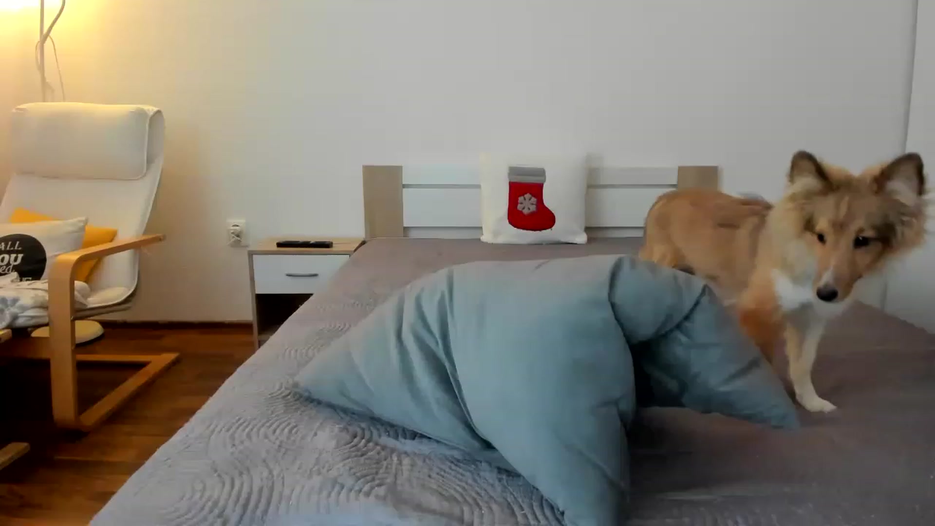 Gallery image thumbnail from Saandruskka's myfreecams stream on, 11/26/2022, 14:05 image 20 of 20