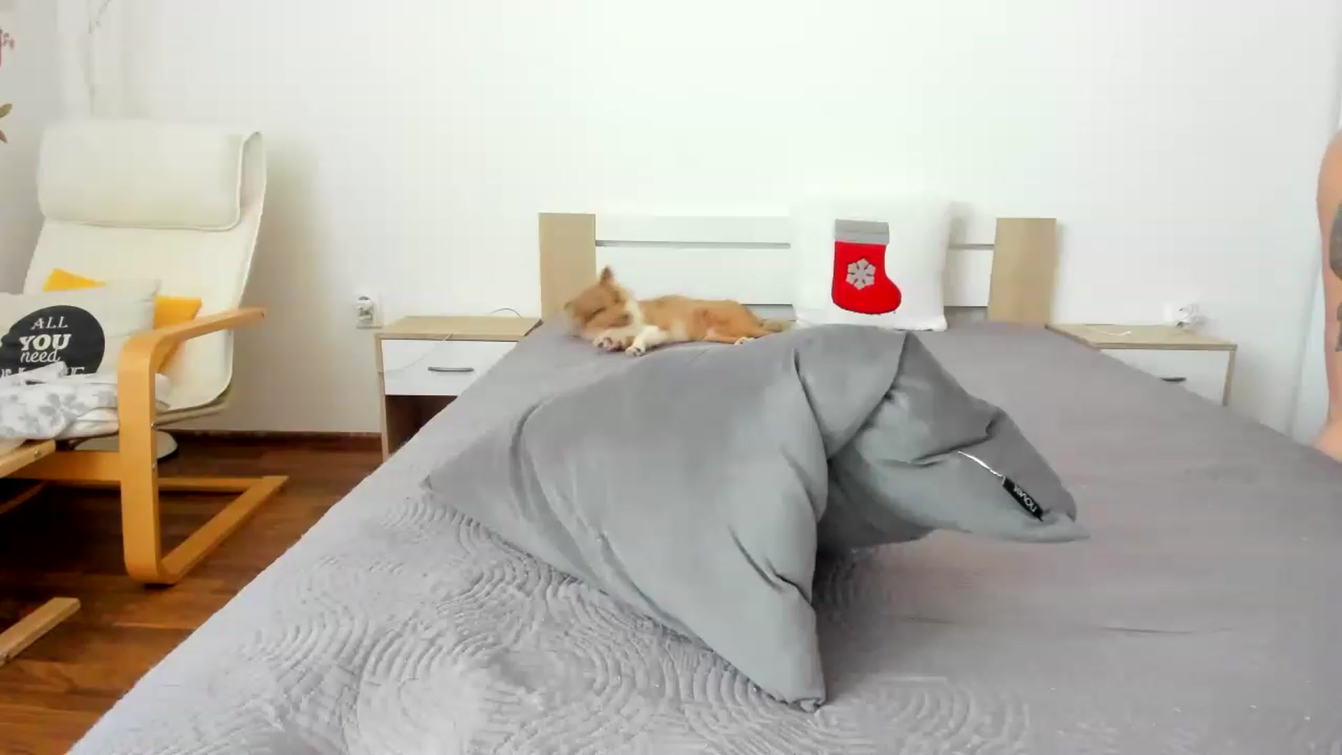 Gallery image thumbnail from Saandruskka's myfreecams stream on, 11/27/2022, 13:12 image 20 of 20