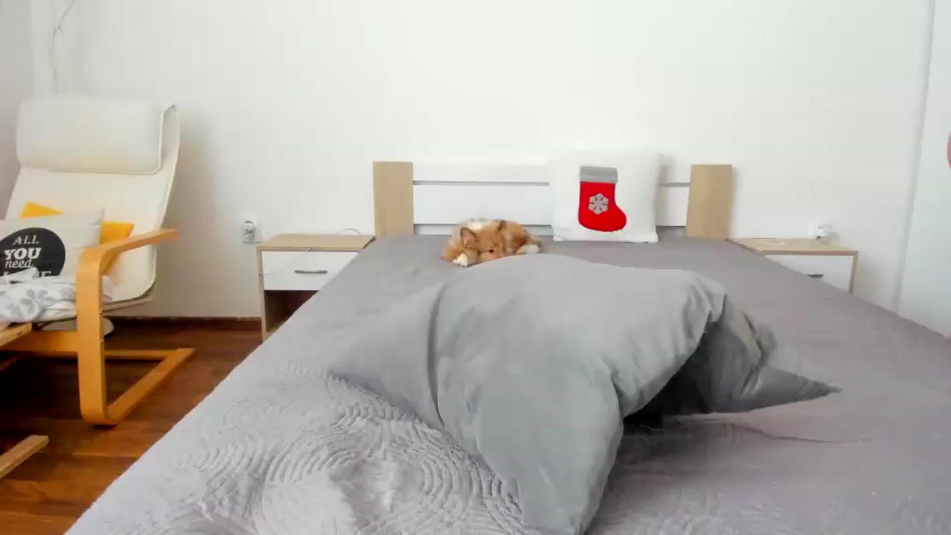 Gallery image thumbnail from Saandruskka's myfreecams stream on, 11/27/2022, 13:30 image 16 of 20