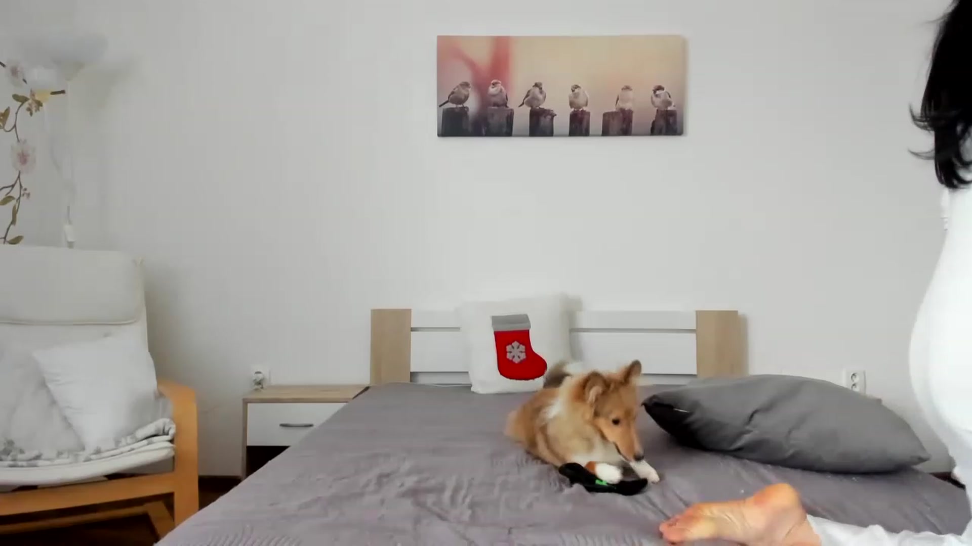 Gallery image thumbnail from Saandruskka's myfreecams stream on, 12/01/2022, 13:01 image 8 of 20