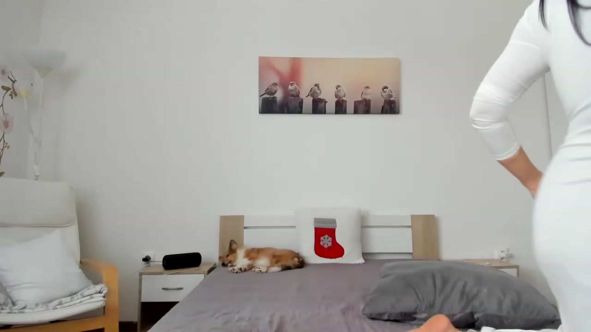 Gallery image thumbnail from Saandruskka's myfreecams stream on, 12/02/2022, 10:23 image 7 of 20