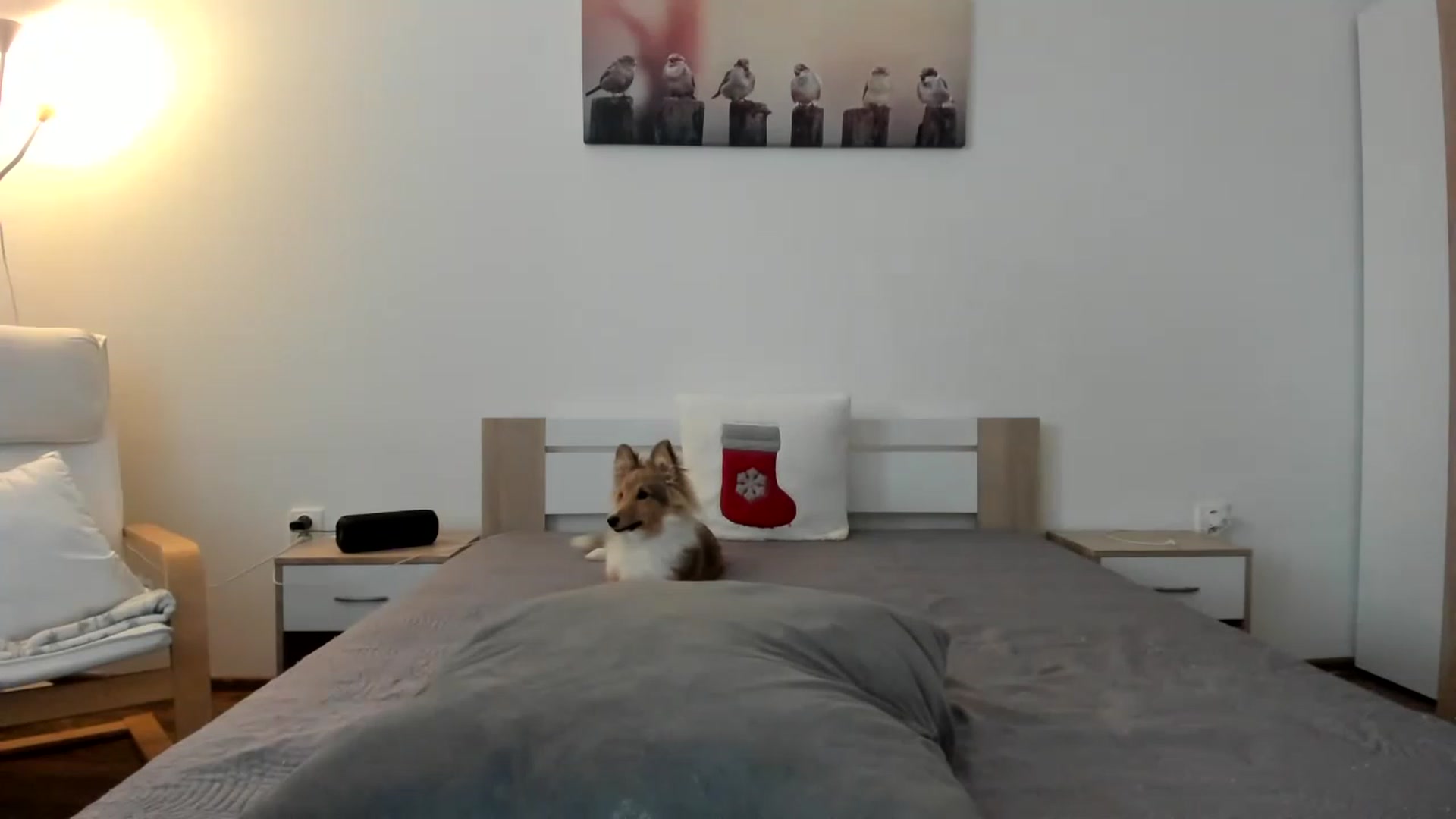 Gallery image thumbnail from Saandruskka's myfreecams stream on, 12/02/2022, 13:18 image 10 of 20