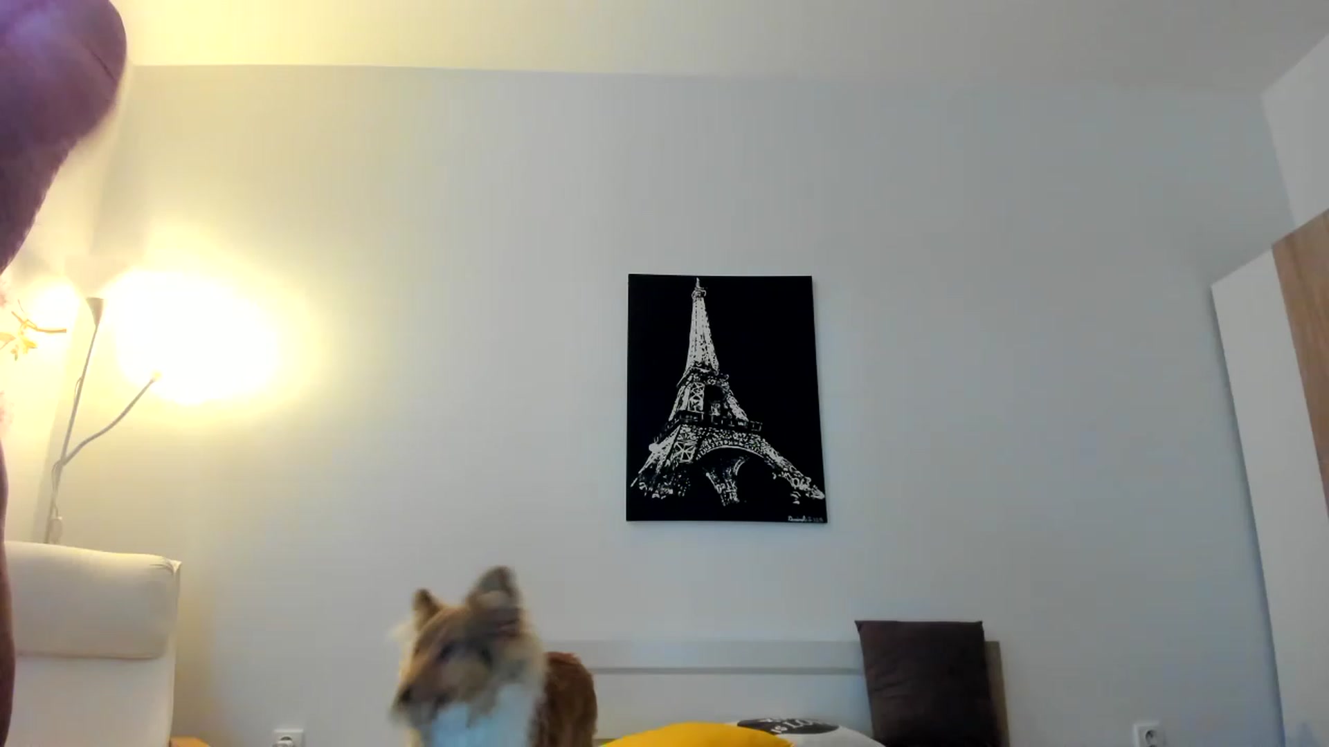 Gallery image thumbnail from Saandruskka's myfreecams stream on, 12/07/2022, 14:29 image 18 of 20