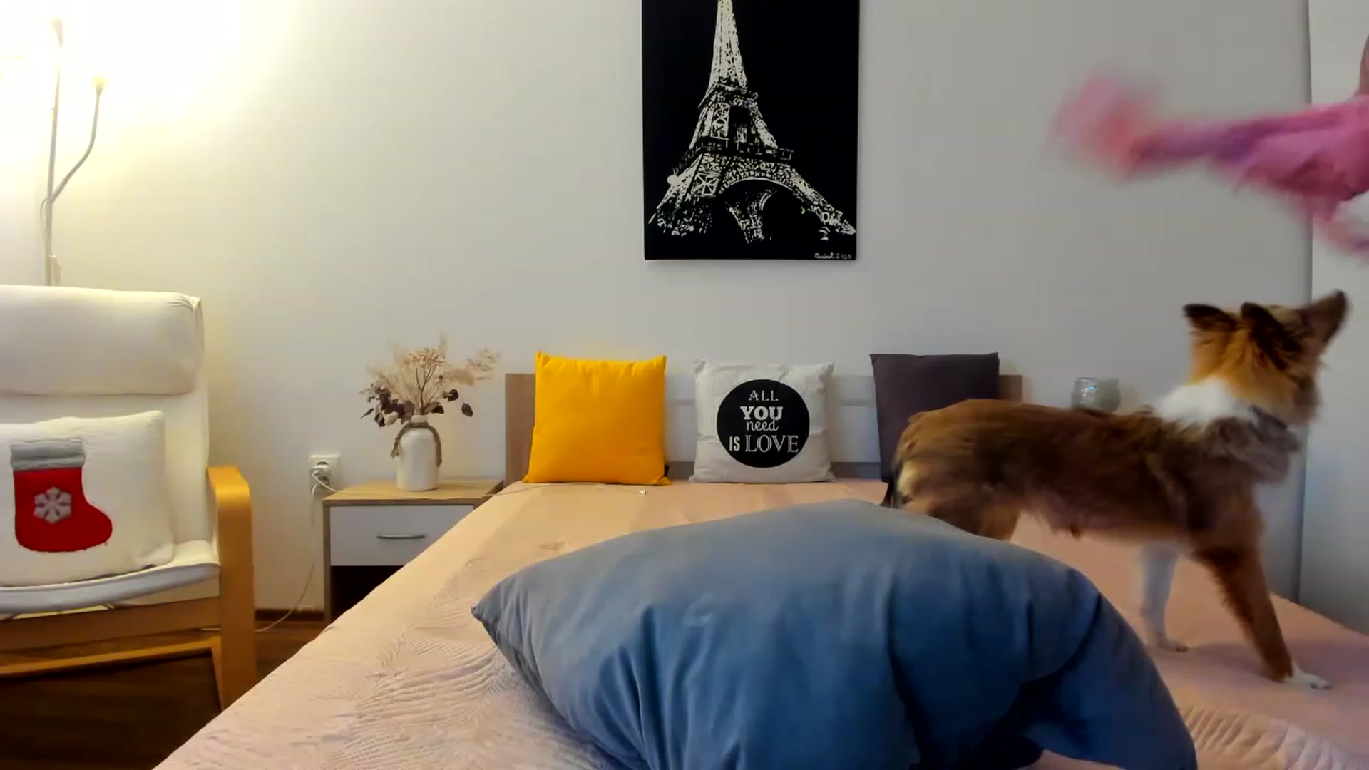 Gallery image thumbnail from Saandruskka's myfreecams stream on, 12/08/2022, 13:13 image 19 of 20
