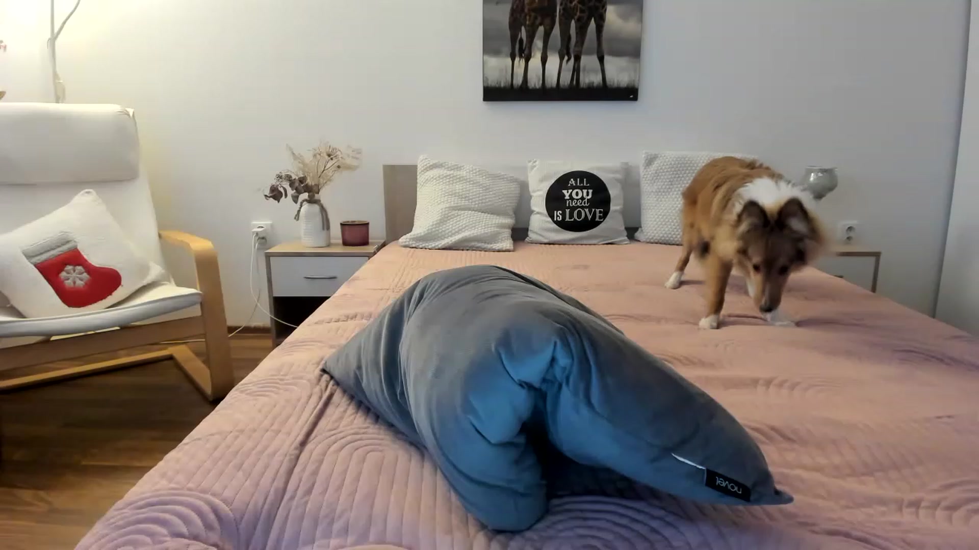 Gallery image thumbnail from Saandruskka's myfreecams stream on, 01/03/2023, 14:26 image 3 of 20