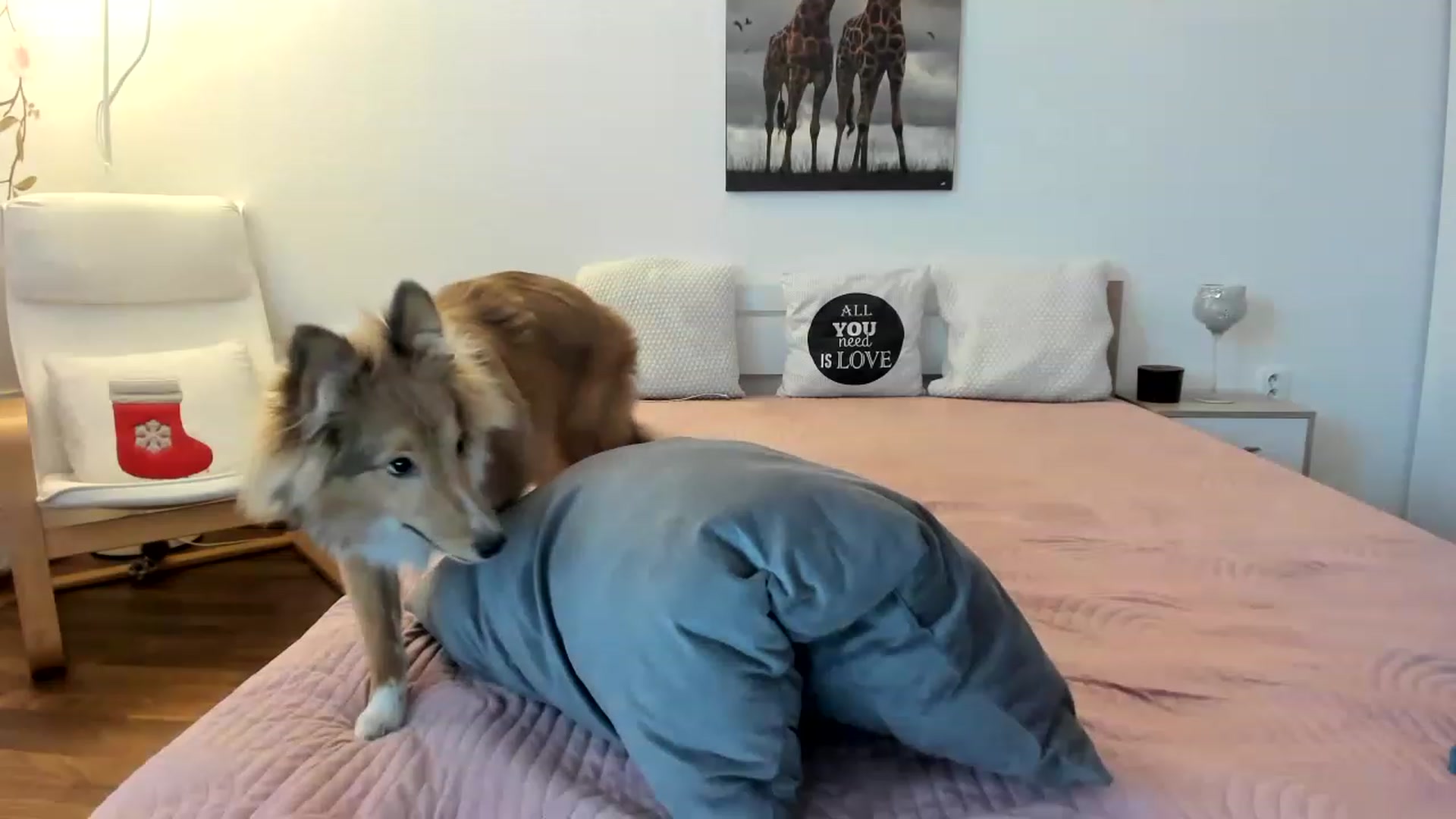 Gallery image thumbnail from Saandruskka's myfreecams stream on, 01/09/2023, 11:49 image 18 of 20