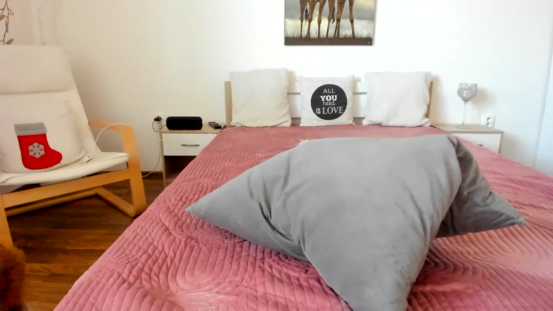 Gallery image thumbnail from Saandruskka's myfreecams stream on, 01/17/2023, 14:01 image 6 of 20