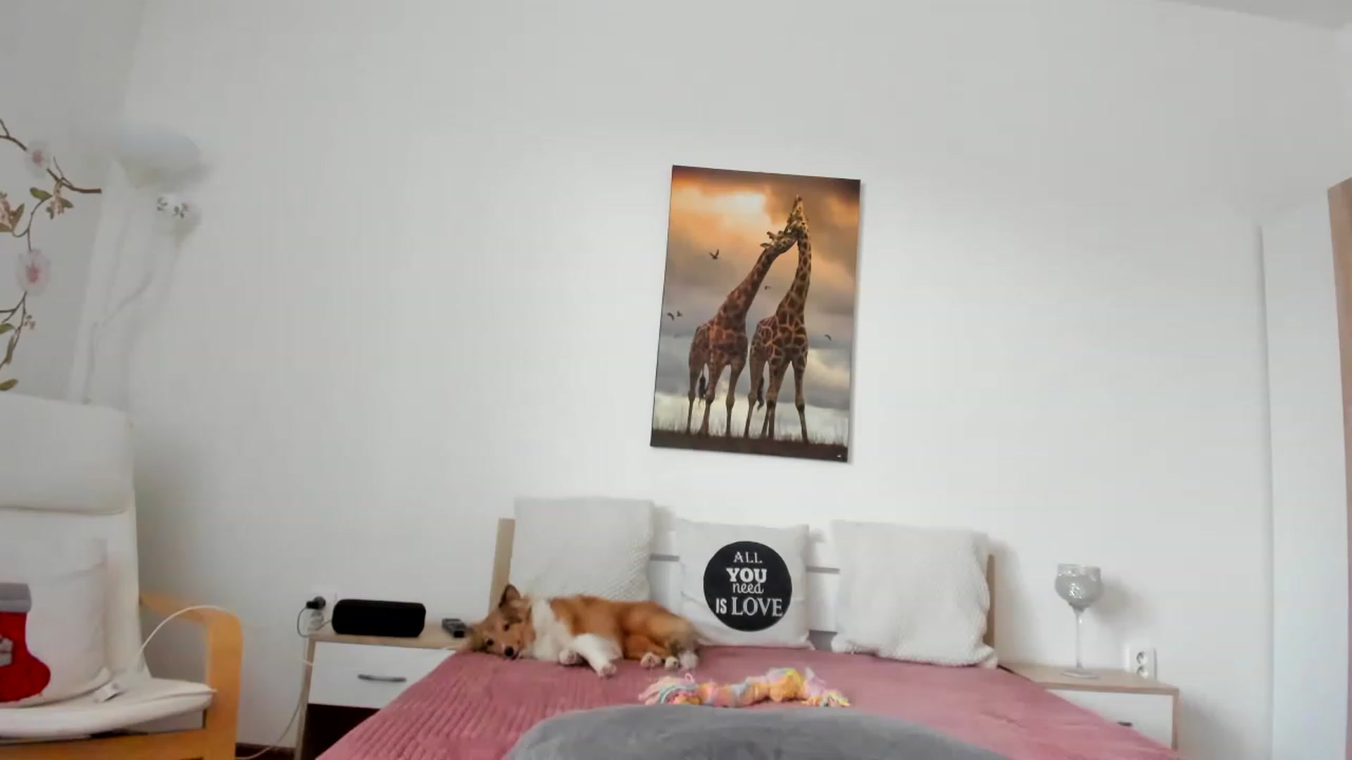 Gallery image thumbnail from Saandruskka's myfreecams stream on, 01/17/2023, 14:01 image 17 of 20