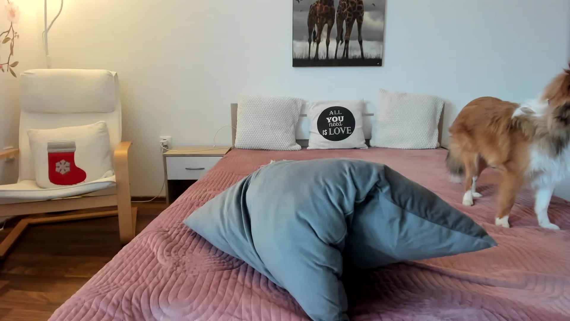 Gallery image thumbnail from Saandruskka's myfreecams stream on, 01/19/2023, 13:28 image 7 of 20
