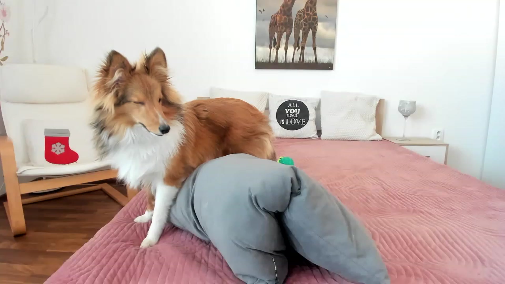 Gallery image thumbnail from Saandruskka's myfreecams stream on, 02/04/2023, 13:32 image 6 of 20