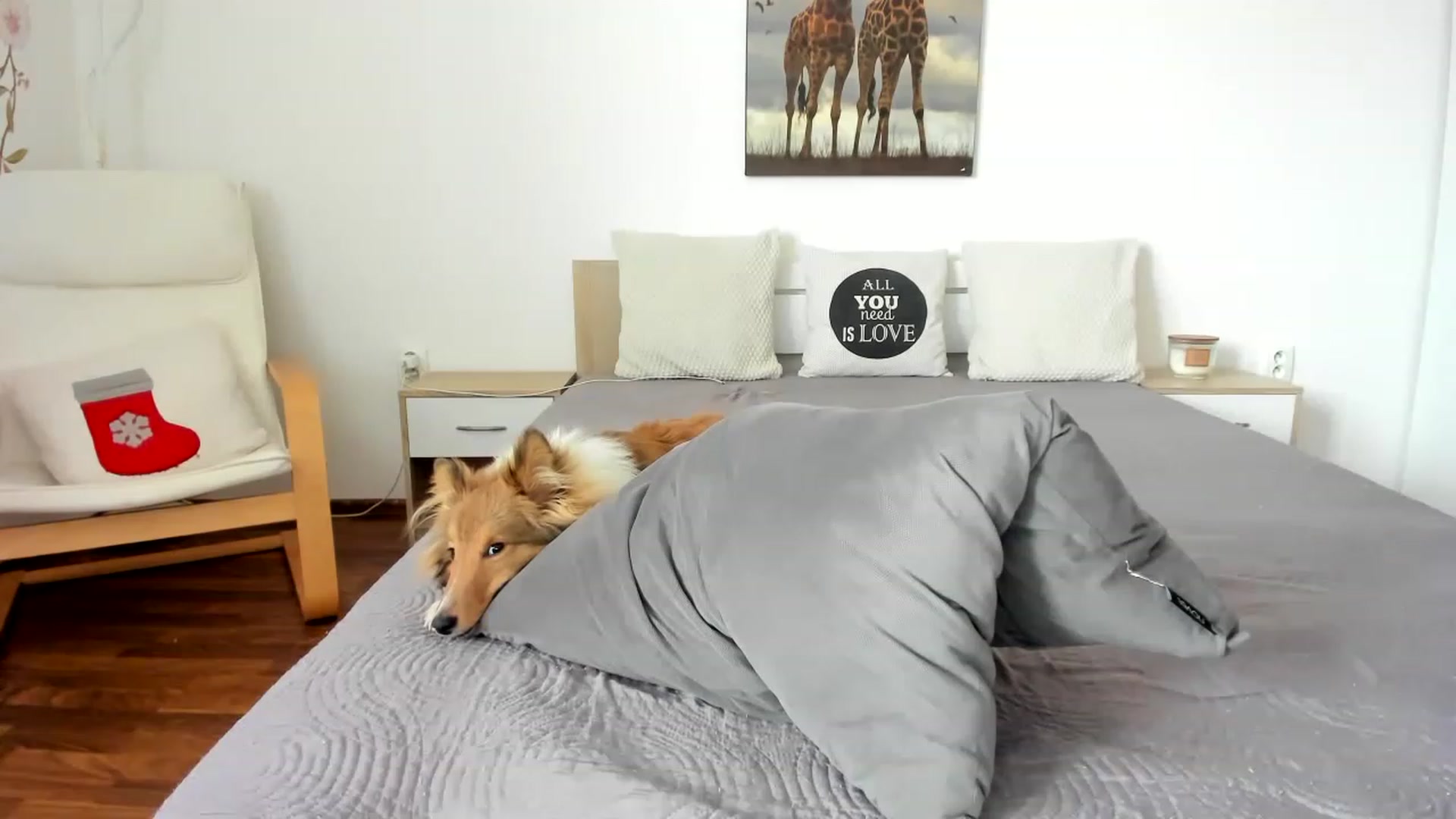 Gallery image thumbnail from Saandruskka's myfreecams stream on, 02/11/2023, 12:21 image 4 of 20