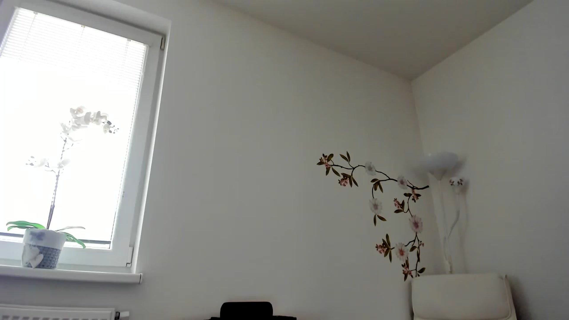 Gallery image thumbnail from Saandruskka's myfreecams stream on, 02/11/2023, 12:21 image 14 of 20