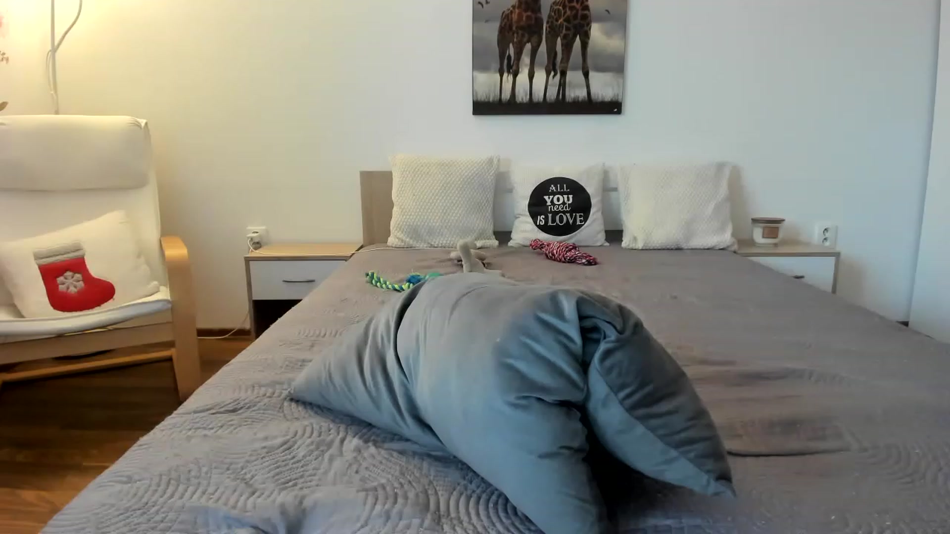 Gallery image thumbnail from Saandruskka's myfreecams stream on, 02/11/2023, 16:02 image 7 of 20