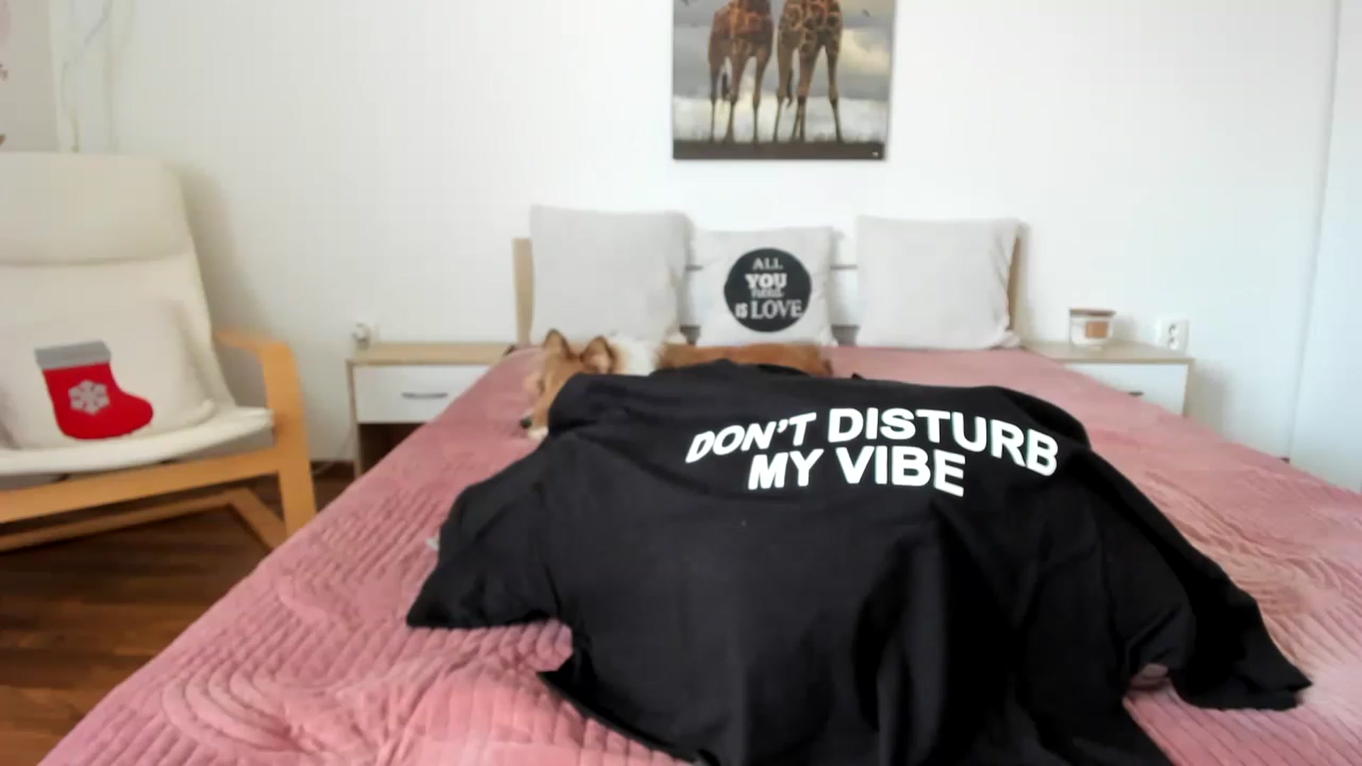Gallery image thumbnail from Saandruskka's myfreecams stream on, 02/12/2023, 11:30 image 13 of 20