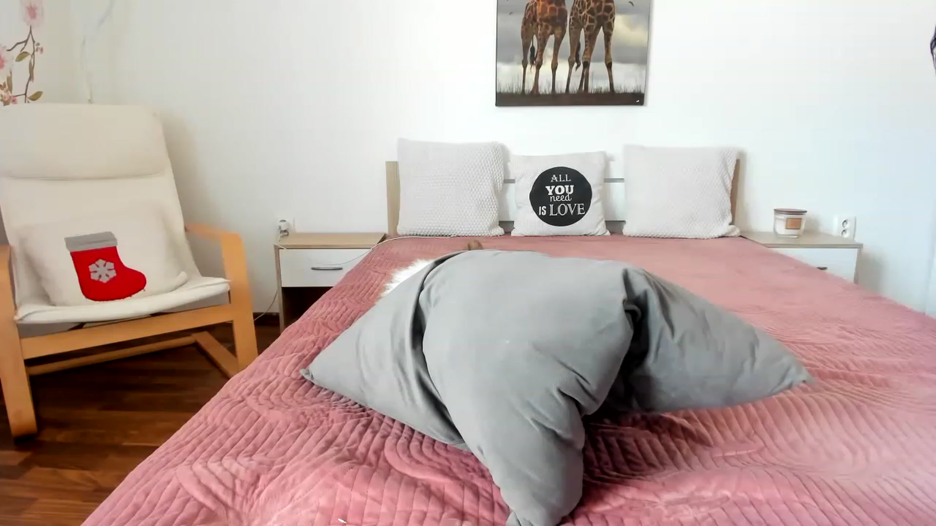 Gallery image thumbnail from Saandruskka's myfreecams stream on, 02/12/2023, 12:44 image 7 of 20