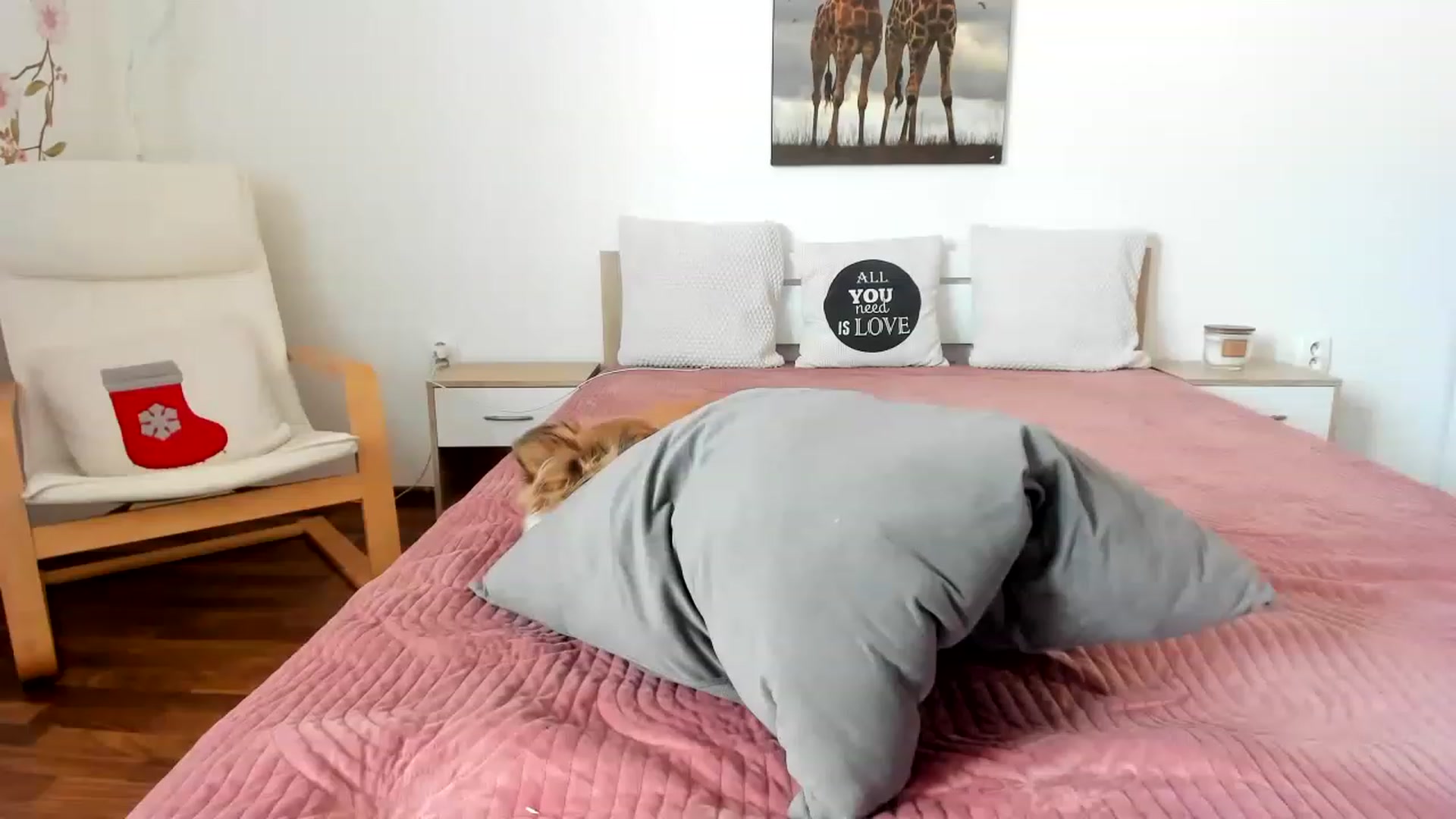 Gallery image thumbnail from Saandruskka's myfreecams stream on, 02/12/2023, 12:44 image 8 of 20