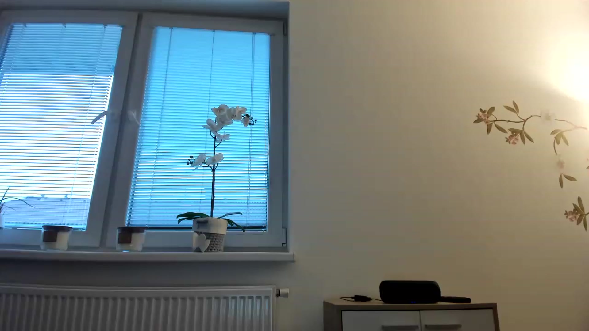 Gallery image thumbnail from Saandruskka's myfreecams stream on, 02/14/2023, 16:02 image 20 of 20