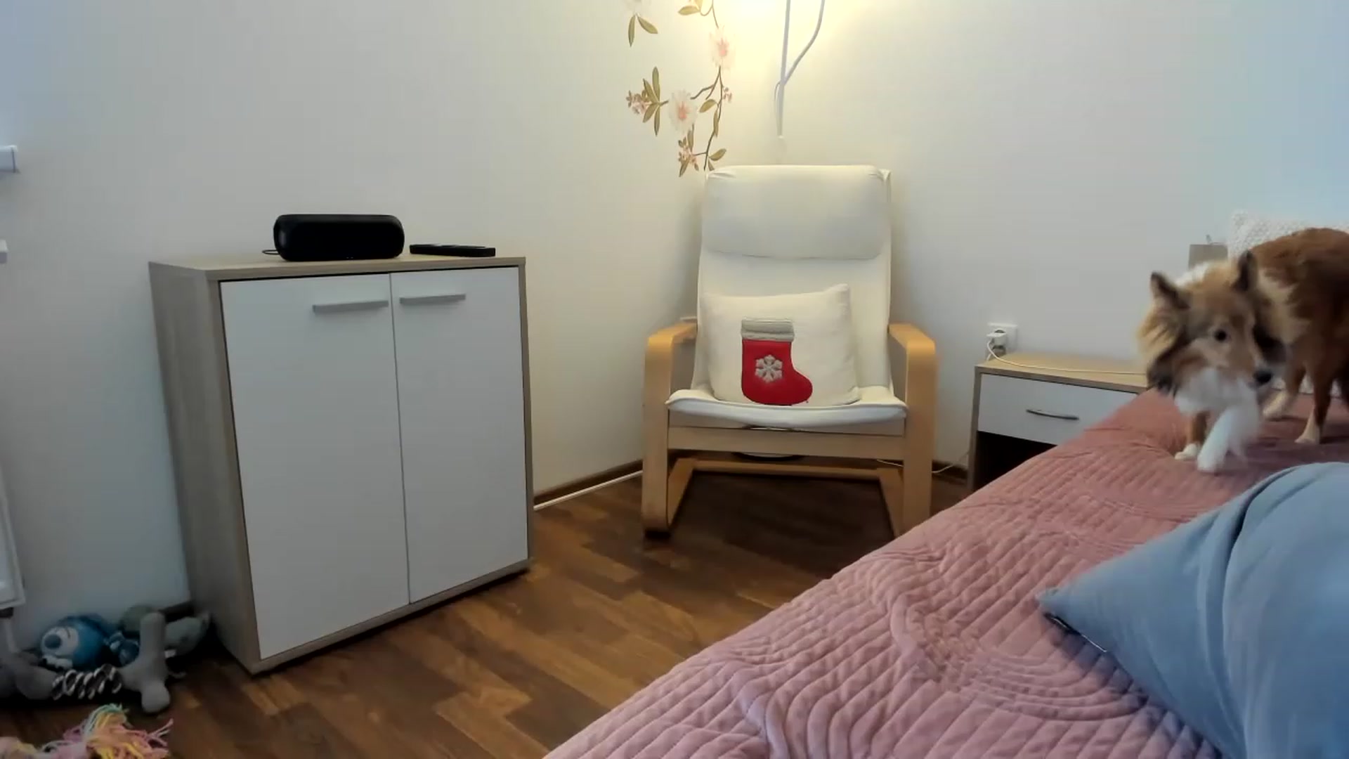 Gallery image thumbnail from Saandruskka's myfreecams stream on, 02/17/2023, 13:45 image 5 of 20