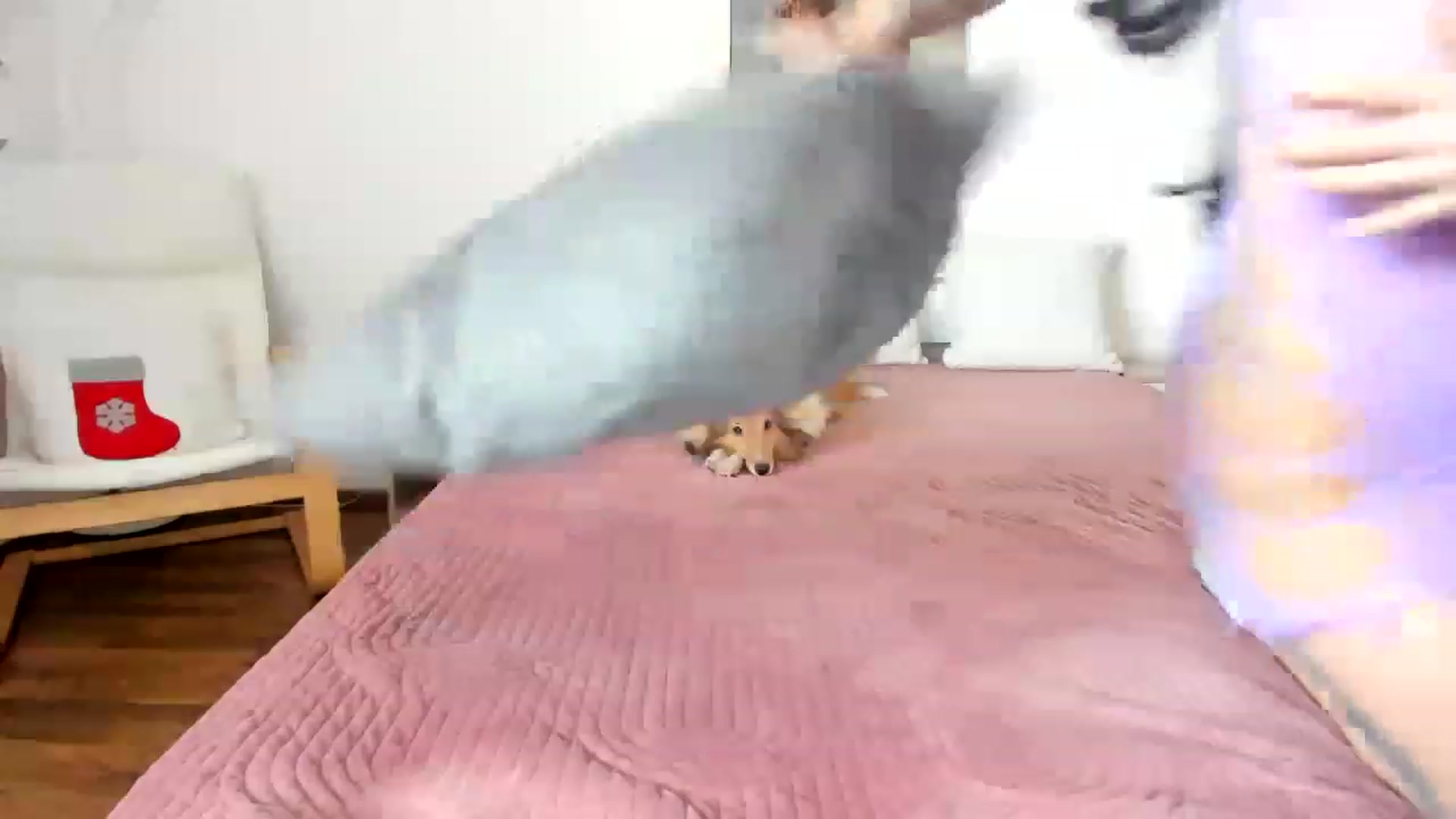 Gallery image thumbnail from Saandruskka's myfreecams stream on, 02/18/2023, 11:49 image 10 of 20