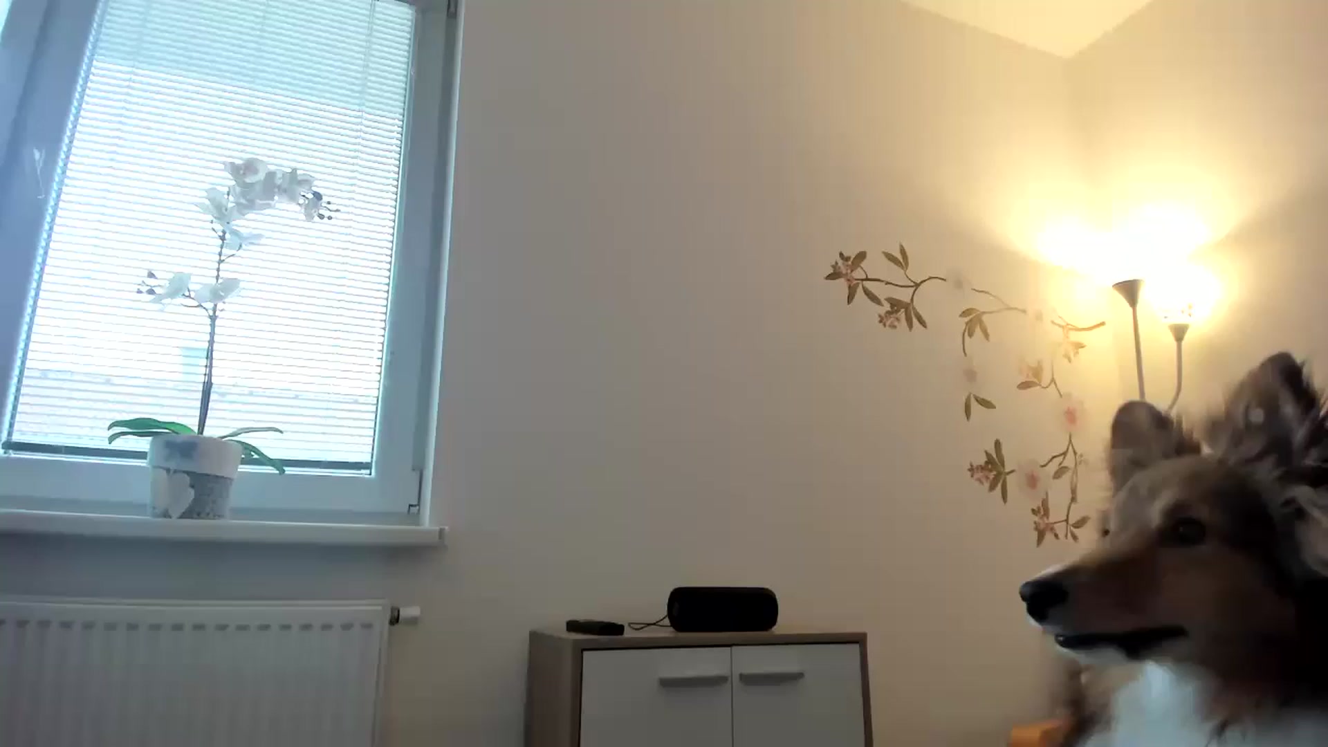 Gallery image thumbnail from Saandruskka's myfreecams stream on, 02/18/2023, 14:43 image 1 of 20