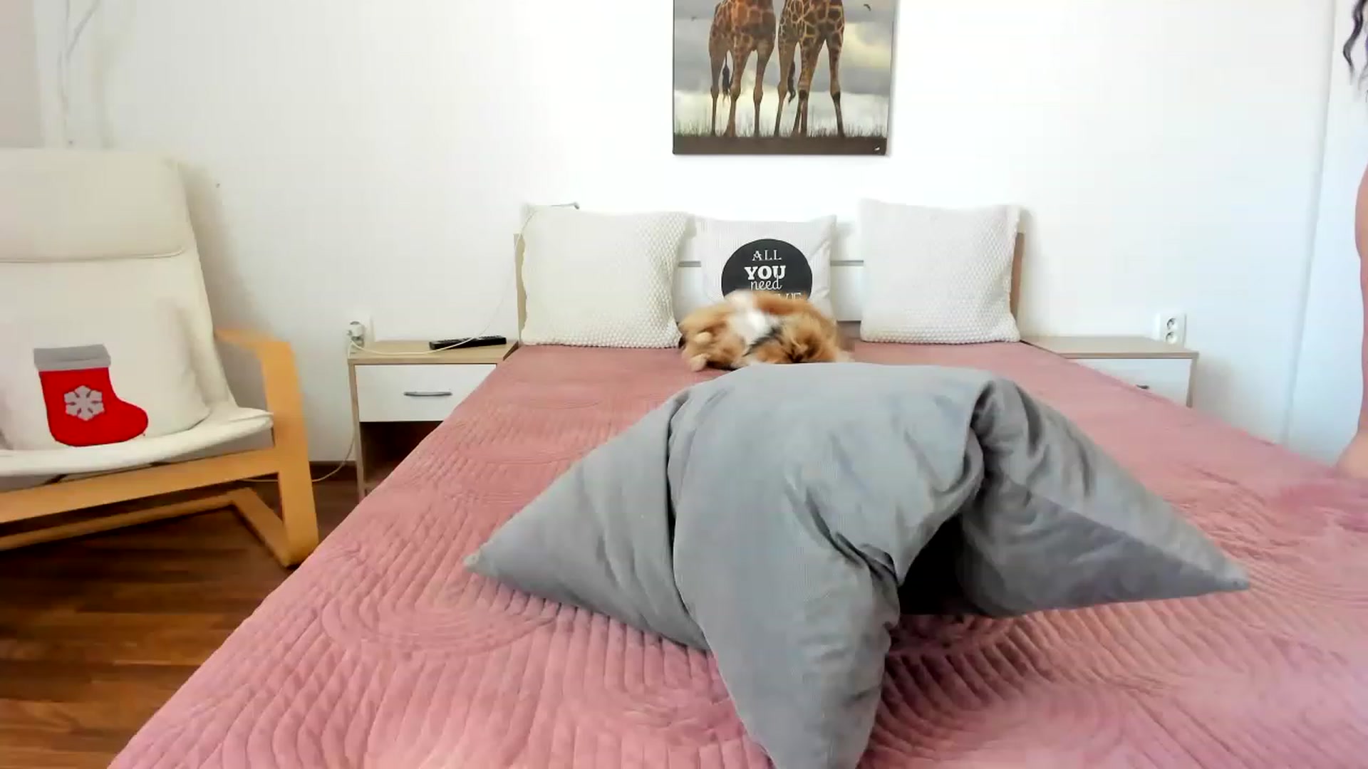 Gallery image thumbnail from Saandruskka's myfreecams stream on, 03/02/2023, 10:56 image 12 of 20