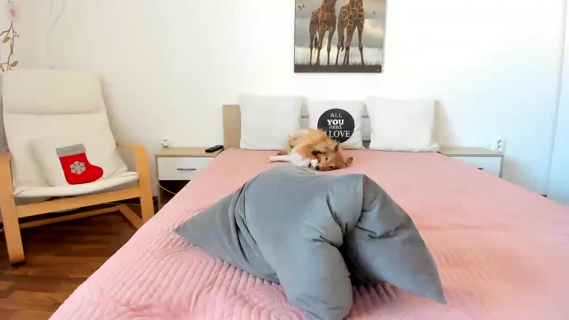 Gallery image thumbnail from Saandruskka's myfreecams stream on, 03/04/2023, 13:34 image 16 of 20