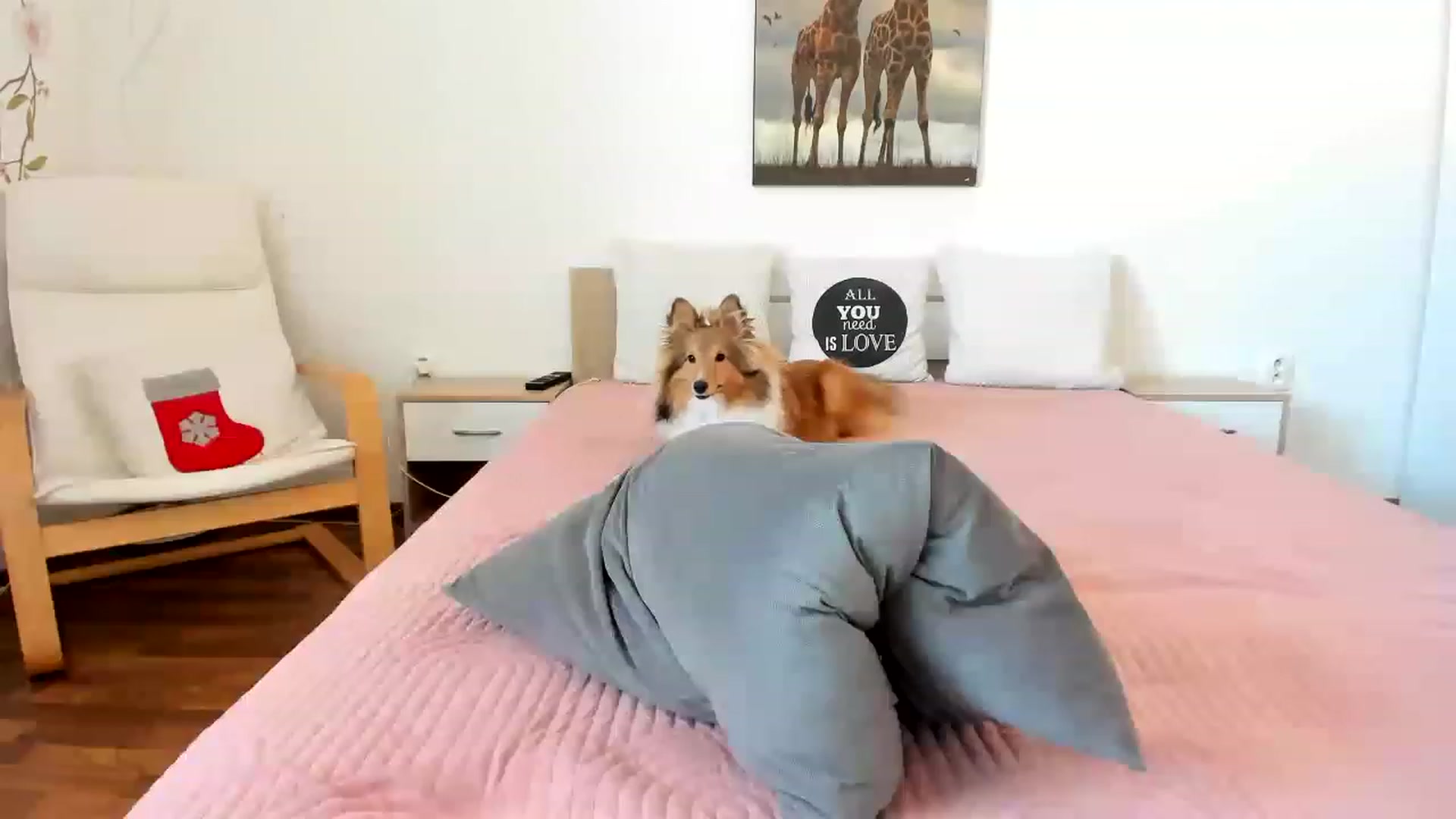 Gallery image thumbnail from Saandruskka's myfreecams stream on, 03/04/2023, 13:34 image 17 of 20