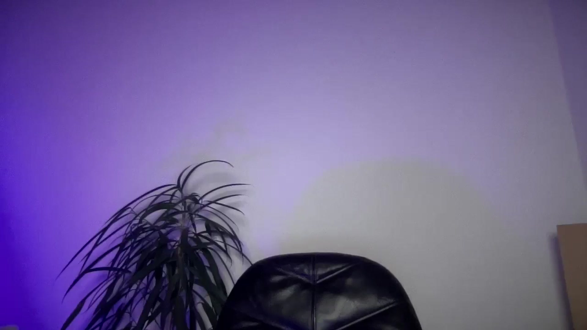 Gallery image thumbnail from SabrinaGolden's myfreecams stream on, 09/01/2025, 04:29 image 8 of 20