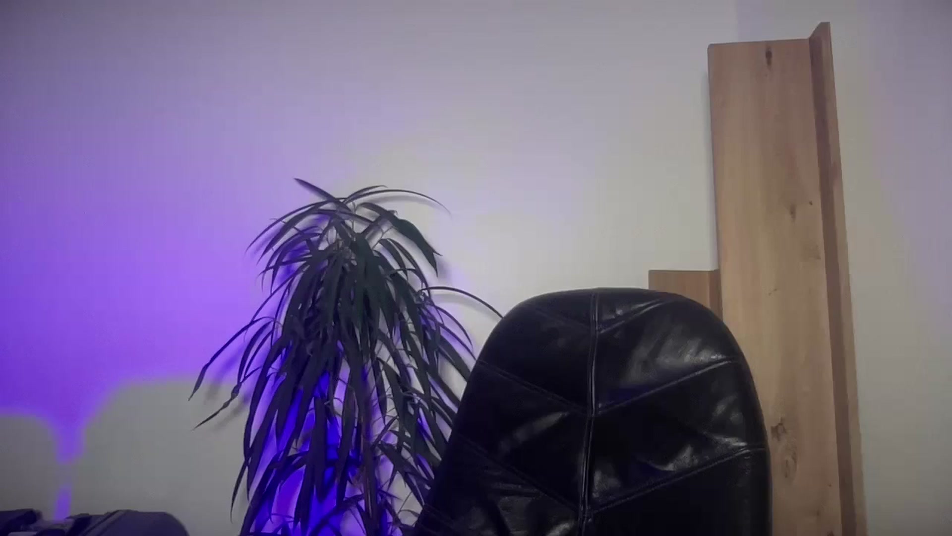 Gallery image thumbnail from SabrinaGolden's myfreecams stream on, 10/29/2025, 24:57 image 6 of 20